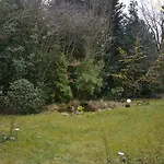 Ferienwohnung Hoyler